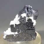 Elmwood Galena Mineral Specimen (U.S.A.) ~37mm