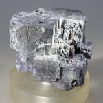 Elmwood Galena Mineral Specimen (U.S.A.) ~40mm