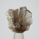 Ferro-Axinite Healing Crystal ~25mm