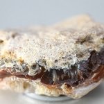 Fire Agate Healing Crystal ~43mm