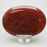 Fire Agate Palmstone (Extra Grade) ~70x50mm