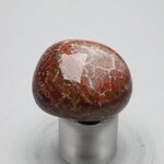 Fire Agate Tumblestone ~30mm