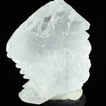 Fishtail Gypsum Healing Crystal ~58mm