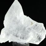 Fishtail Gypsum Healing Crystal ~60mm