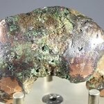 Float Copper Specimen ~60 x 40mm