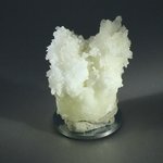 Flos Ferri Aragonite Healing Mineral ~40mm
