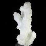 Flos Ferri Aragonite Healing Mineral ~45mm