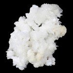 Flos Ferri Aragonite Healing Mineral ~50mm