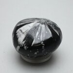 Flower Stone ~45mm