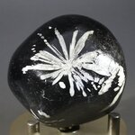 Flower Stone ~47mm