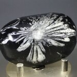 Flower Stone ~55mm