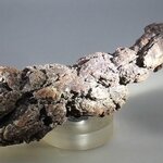Fossilised Coprolite ~100mm