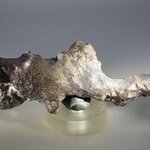 Fossilised Coprolite ~103mm