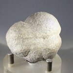 Fossilised Coprolite ~43mm
