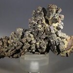 Fossilised Coprolite ~70mm