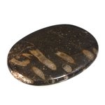 Frosterley Marble Palmstone (Extra Grade) ~68 x 48mm