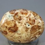 Garnet in Limestone Polished Stone ~33mm