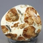 Garnet in Limestone Polished Stone ~33mm