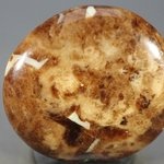 Garnet in Limestone Polished Stone ~39mm