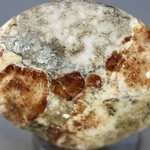 Garnet in Limestone Polished Stone ~40mm