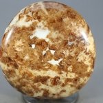 Garnet in Limestone Polished Stone ~43mm