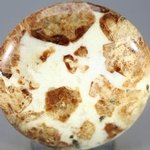 Garnet in Limestone Polished Stone ~43mm