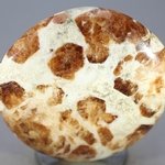 Garnet in Limestone Polished Stone ~44mm