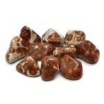 Garnet in Limestone Tumble Stones (20-25mm)