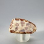 Garnet in Limestone Tumblestone ~36mm
