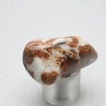 Garnet in Limestone Tumblestone ~37mm