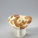 Garnet in Limestone Tumblestone ~38mm