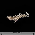 Gold Crystal - Micro Specimen