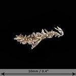 Gold Crystal - Micro Specimen