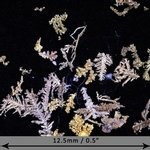 Gold Crystal - Micro Specimens