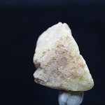 Gold Danburite Healing Crystal ~37mm