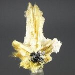 Golden Rutile with Hematite and Quartz Healing Mineral ~40mm