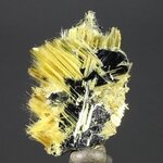 Golden Rutile with Hematite Healing Mineral ~25mm