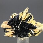 Golden Rutile with Hematite Healing Mineral ~28mm