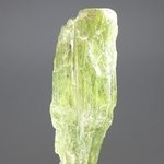 Green Kyanite Healing Crystal ~43mm