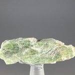 Green Kyanite Healing Crystal ~46mm