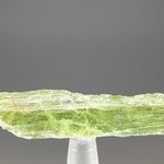 Green Kyanite Healing Crystal ~55mm