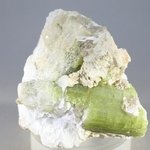 RARE Green Tourmaline Healing Crystal ~50mm
