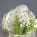 RARE Green Tourmaline Healing Crystal ~54mm