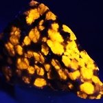 Hackmanite Healing Mineral ~60mm