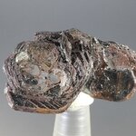 Hematite Rose Healing Crystal ~33mm