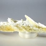 Honey Gypsum Healing Crystal ~136mm