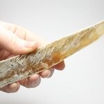 Honey Gypsum Healing Crystal ~165mm