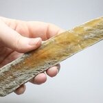 Honey Gypsum Healing Crystal ~185mm