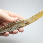 Honey Gypsum Healing Crystal ~193mm