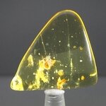 Insect in Amber Specimen ~38mm